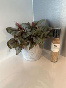 Nokia-areenan näköalayksiö