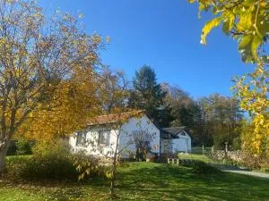 Ferienhaus Elsterblick - Rossbach