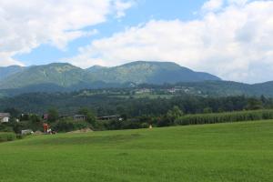 Počitniška hiška Pod Skalco