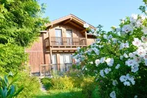 Chalet Attersee - ganzes Ferienhaus, Seeblick, Kamin, Sauna - Alexenau