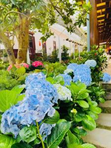 Vườn Trà HomeStay Măng Đen