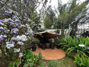 Vườn Trà HomeStay Măng Đen