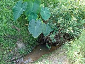 MICRO CASA DE SITIO DO TIO Tonho