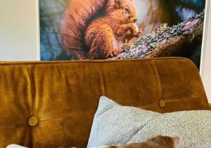 Eekhoorn-huisje, 4-pers bungalow, Rekem