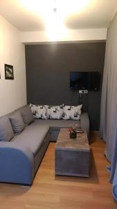 Area Park Bakuriani, Apartment 5