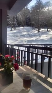 Area Park Bakuriani, Apartment 5