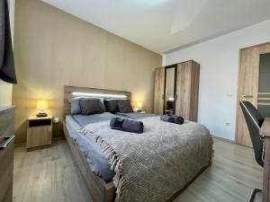 City Centre Simonffy Apartment