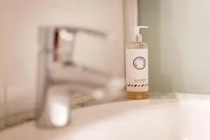 Camilla - 图尔热维尔