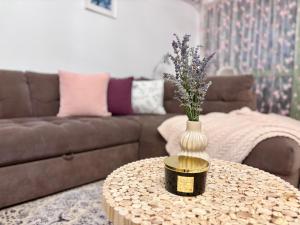 Apartment No 902 Circului Park Tower