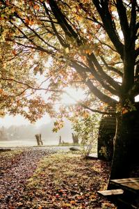 Finest Retreats - Honeysuckle Glamping Pod