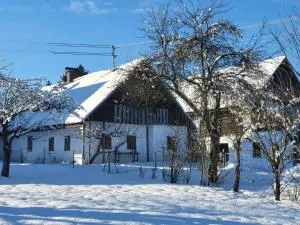 URige Hütte - Frießnitz