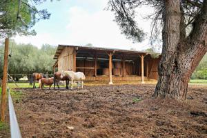 Appartements GITE DANS MAS A 10 MIN DE LA PLAGE : Appartement 2 Chambres