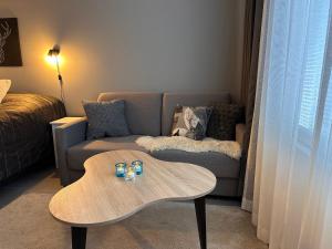 Arctic Star Levi - Lumitähti