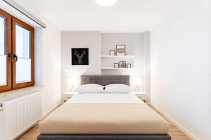 Native Apartments Barska 13