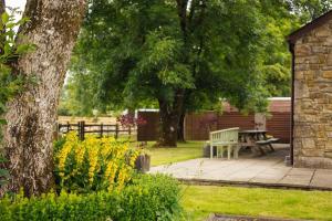 Dairy Cottage at Scolton Cottages - Indoor pool