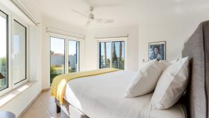 Bright 3 BDR Duplex House With Pool by LovelyStay