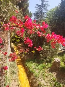 Cabañas Valle San Miguel - Chilecito