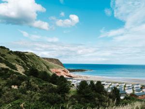 Pease Bay Essential Clover Caravan 1