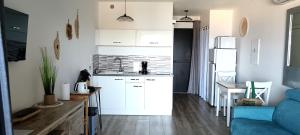 Appartements Studio standing classe meuble de tourisme avec terrasse vue mer 