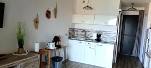 Appartements Studio standing classe meuble de tourisme avec terrasse vue mer 