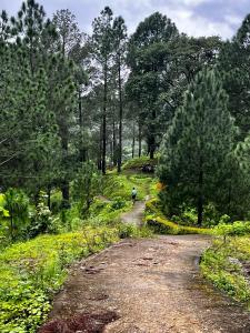 True Blue, Deluxe room in The Umri Lansdowne