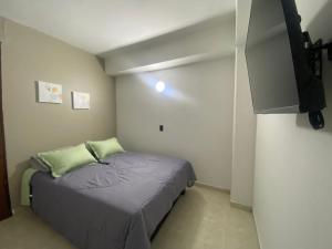 Alojamiento edificio Rosalba 207