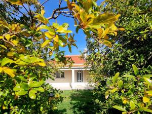 Apartment Matija Airport