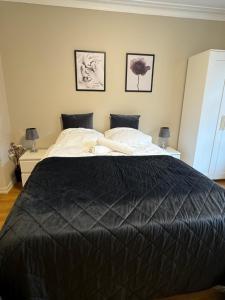 Central stay apartment - 303