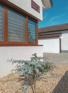 Nagy-Zátonyi Vendégház