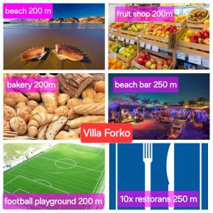 Villa Forko