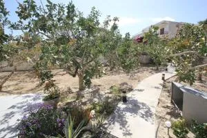 Cosmos by Frangki - Souvala