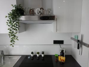 Appart Cosy Brest (Les 4 moulins)