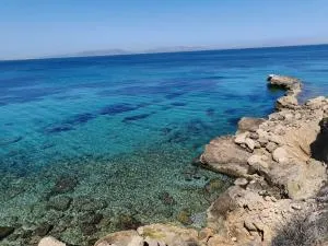 Antigone by Frangki - Souvala