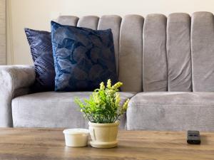 Lujoso apartamento cerca al Aeropuerto y Ciudad Amurallada