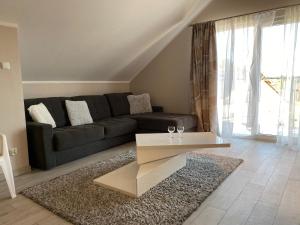 SleepWell Apartments Czarna Góra