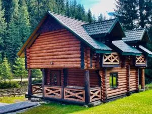 У ВІТИ котедж4 - Krasnyy