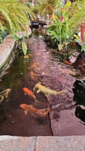 Garden Oasis Cottage