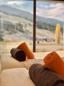 Auberges Auberge Alpina : photos des chambres