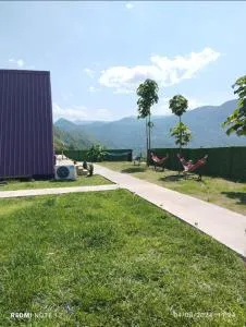 HARMONY- ჰარმონია - Tsesi