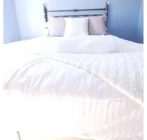 Glanyrafon Cottage - Devynock