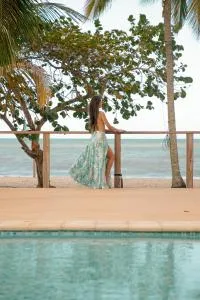 Hukumeizi - Palomino