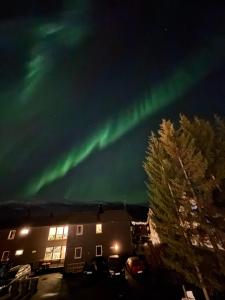 Tromsø Winter Wonderland