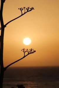 SIDI KaouKI PERLA - Iskoua