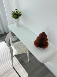 Rooftop penthouse with aurora terrace