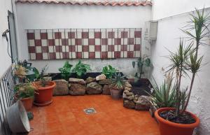Apartamentos San Salvador Parking Gratis Free