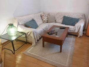 Apartamentos San Salvador Parking Gratis Free