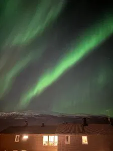 Tromsø Winter Wonderland - Marisletta