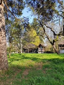 Domacinstvo Pecina Petnica