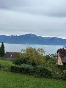 studio with amazing view - Blonay