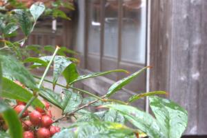 出雲一棟貸し 時代の宿 宮野屋